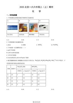 2025北京一六六中高二（上）期中化学（教师版）-答案