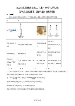 2025北京重点校高二（上）期中化学汇编：化学反应的速率（鲁科版）（选择题）-答案