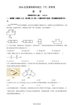 2026北京清华附中初三（下）开学考数学（教师版）-答案