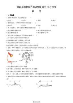 2023北京朝阳外国语学校初三11月月考物理（教师版）-答案
