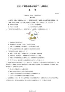 2025北京陈经纶中学高三10月月考生物（教师版）-答案